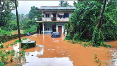 Goa: Deforestation intensified floods in Bicholim, Sattari, say experts ...