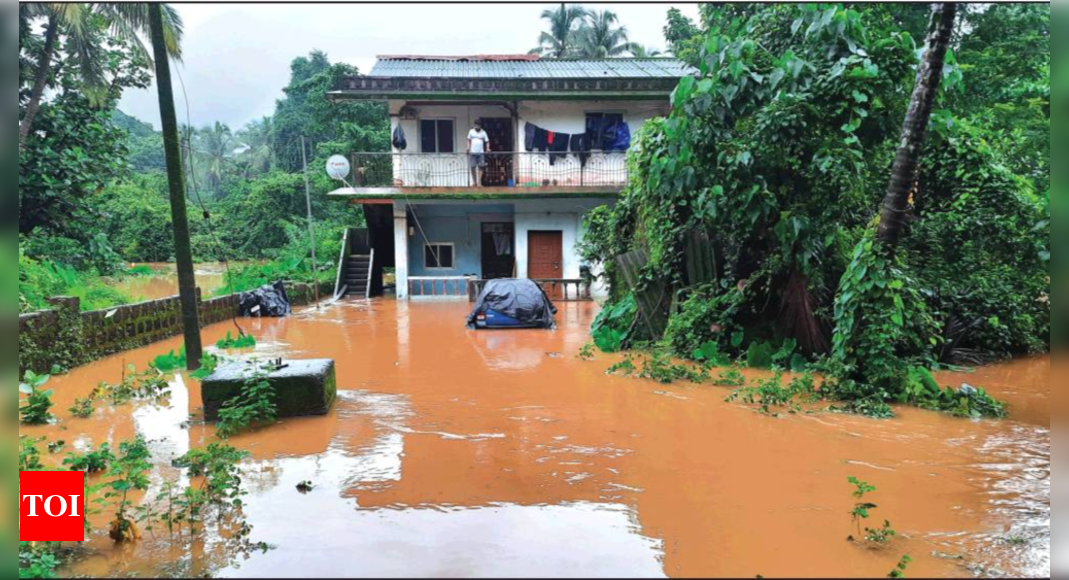 case study on deforestation in goa