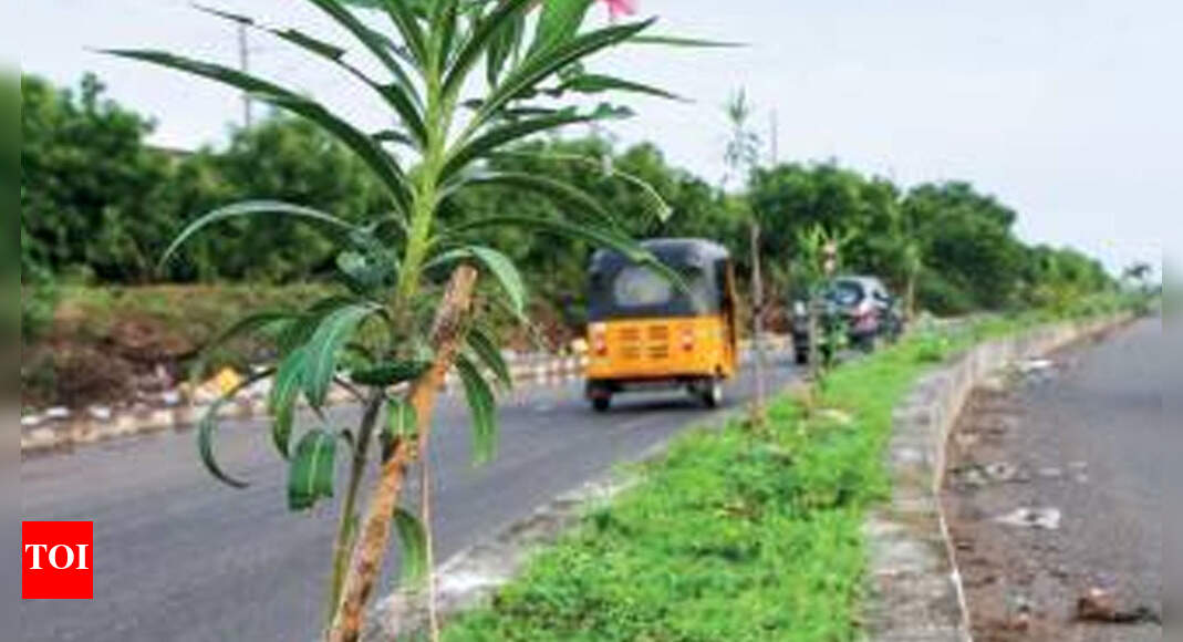 Velachery residents aim to plant 1L saplings in a yr