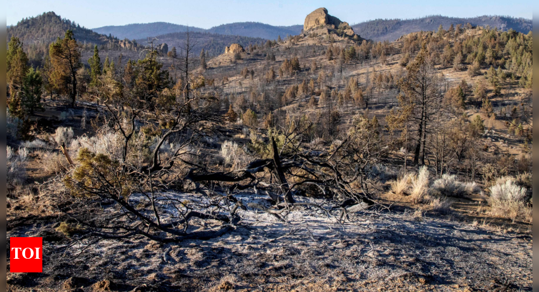 Wildfires raging in the west draw states to support