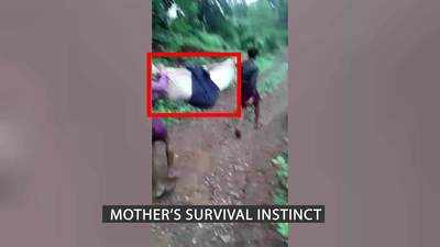 Mother’s survival instinct: Pregnant tribal woman carried 8 km in jholi in Madhya Pradesh