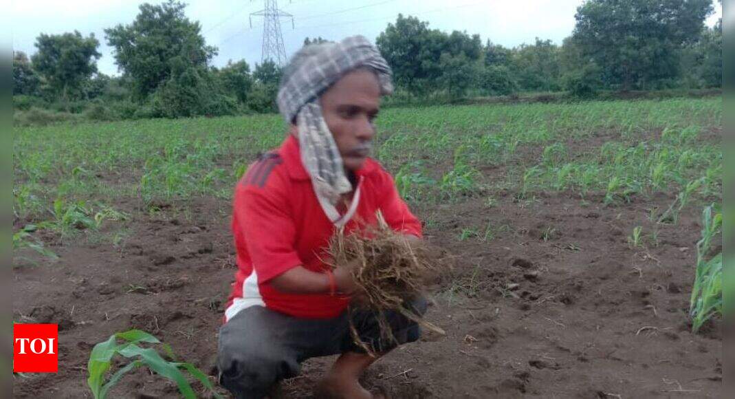 Karnataka: Dwarf athlete struggles to make ends meet | Hubballi News - Vimarsana News