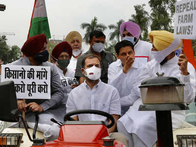 Farm laws: Rahul Gandhi drives tractor to Parliament; theatrics, says BJP