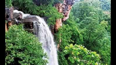 Telangana: Forester finds new waterfall in Asifabad