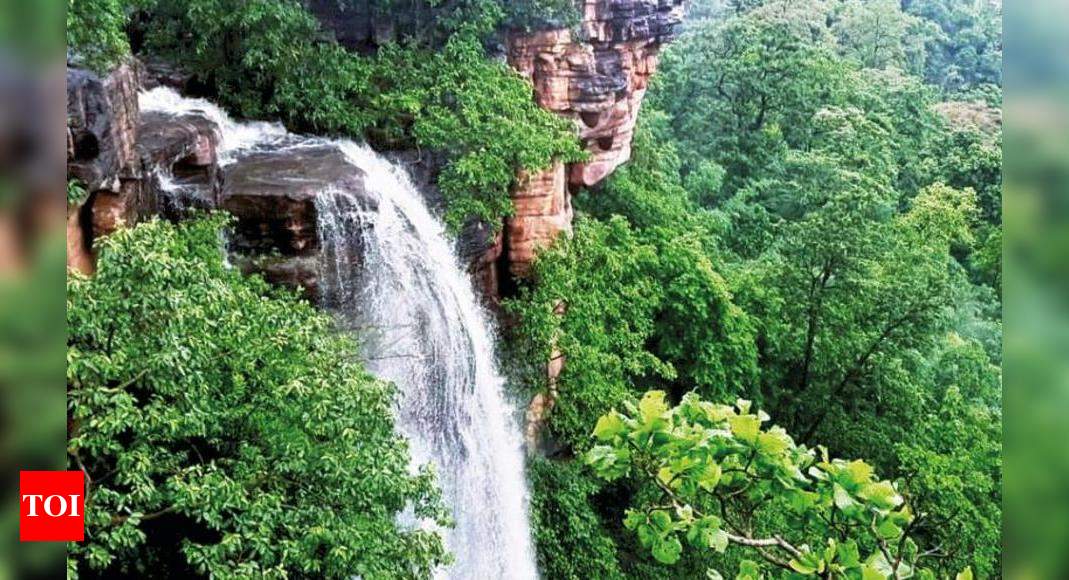 Telangana: Forester finds new waterfall in Asifabad