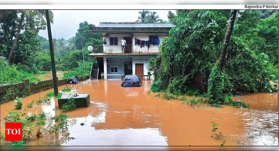 Goa Chamber of Commerce and Industry: Form a task force to identify reason for annual floods