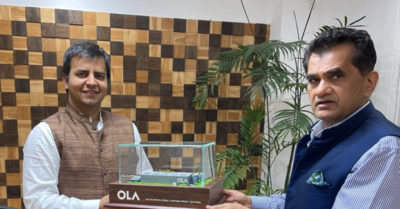 Ola founder to Tesla, Hyundai: Build in India, not just import EVs