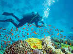 Best Places for Scuba Diving in India