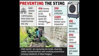 NGO carries out spraying, fogging in areas skipped in NMC dengue survey