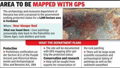 Rush for protected tag to Faridabad site where Stone Age cave art found
