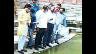 Lucknow: Gambusia fish eggs released in pond