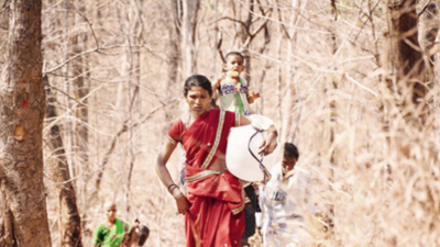 Telangana: Forest-electricity department joust pushes tribals into darkness