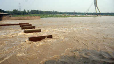 Delhi: Yamuna river breaches danger mark; flood alert issued
