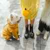 raincoat dog walking