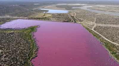 Pink lagoon has Argentine environmentalists seeing red