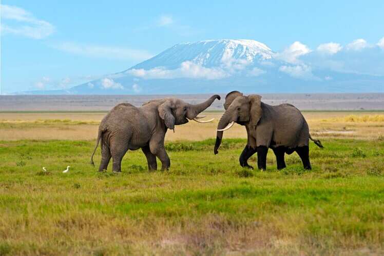 Amboseli Sopa Lodge