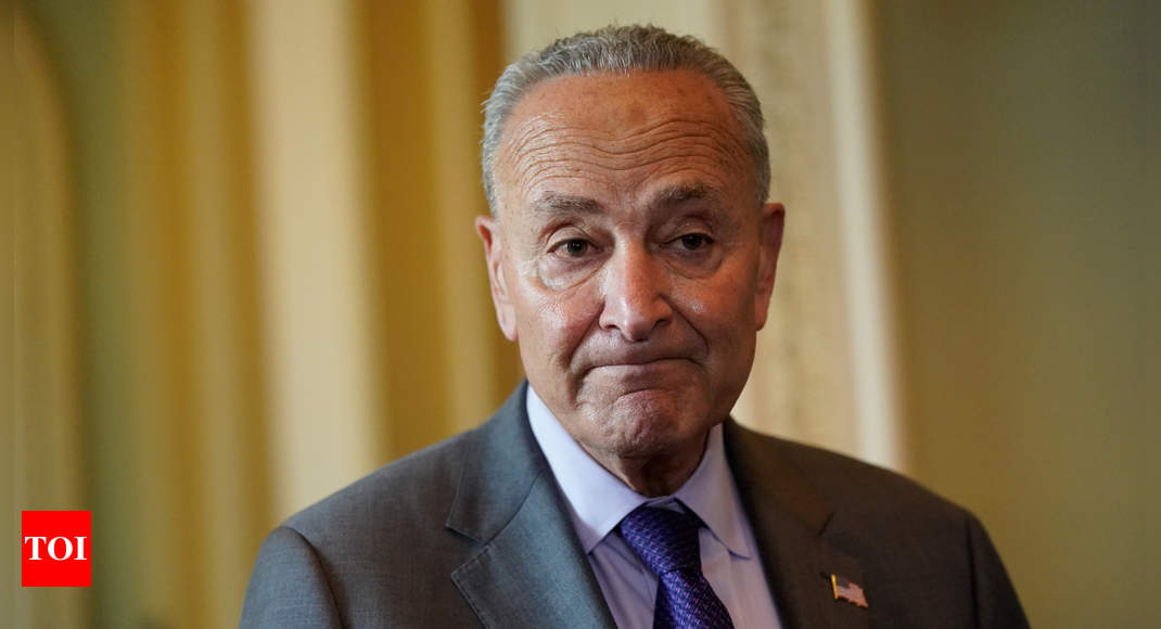 Senators will ‘get the job done’ on infrastructure: Chuck Schumer – Times of India