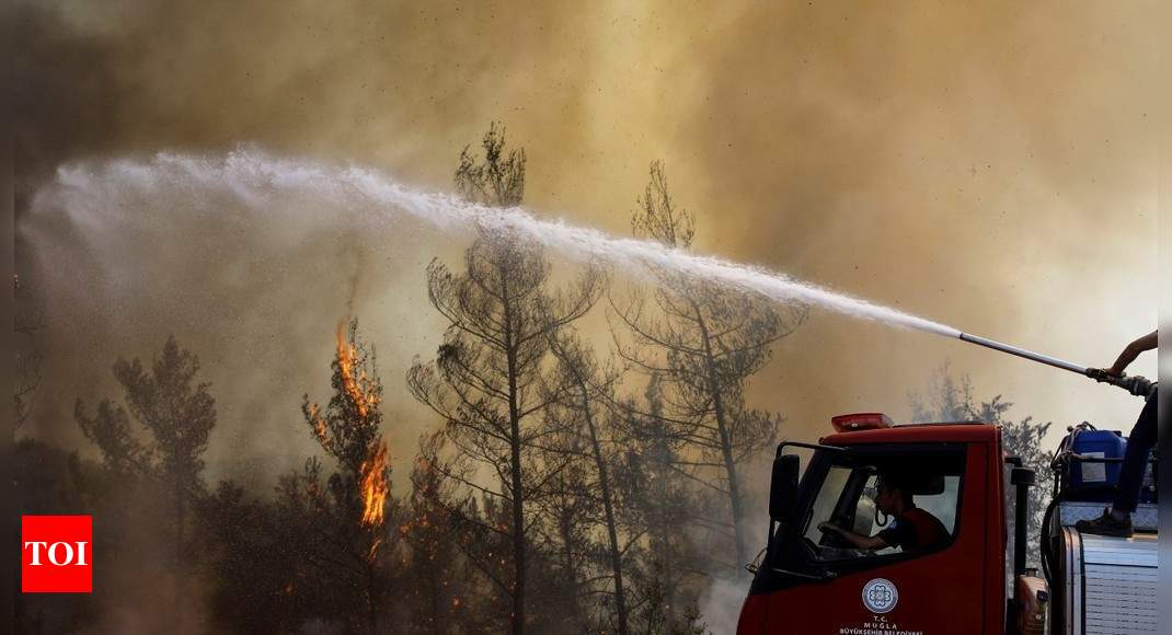 Death toll in Turkey wildfires rises to eight, coastal resorts affected – Times of India