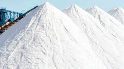 Salt exports down 70% due to China curbs