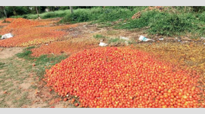 Karnataka farmers dump tomatoes on road