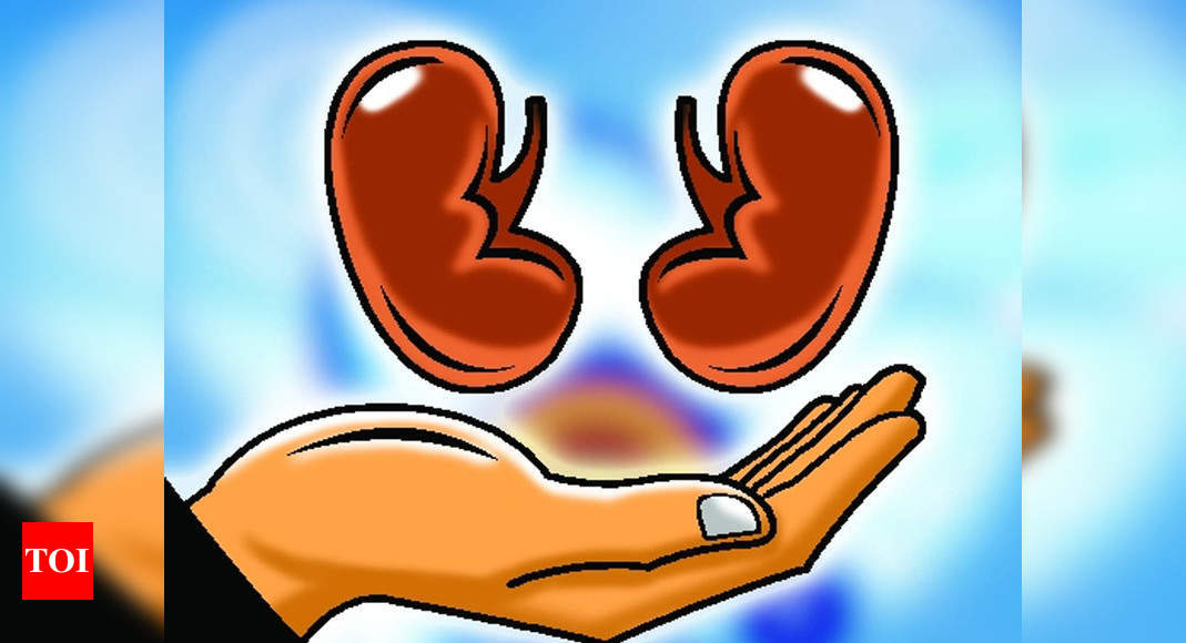 Goa: Covid survivor gets kidney transplant