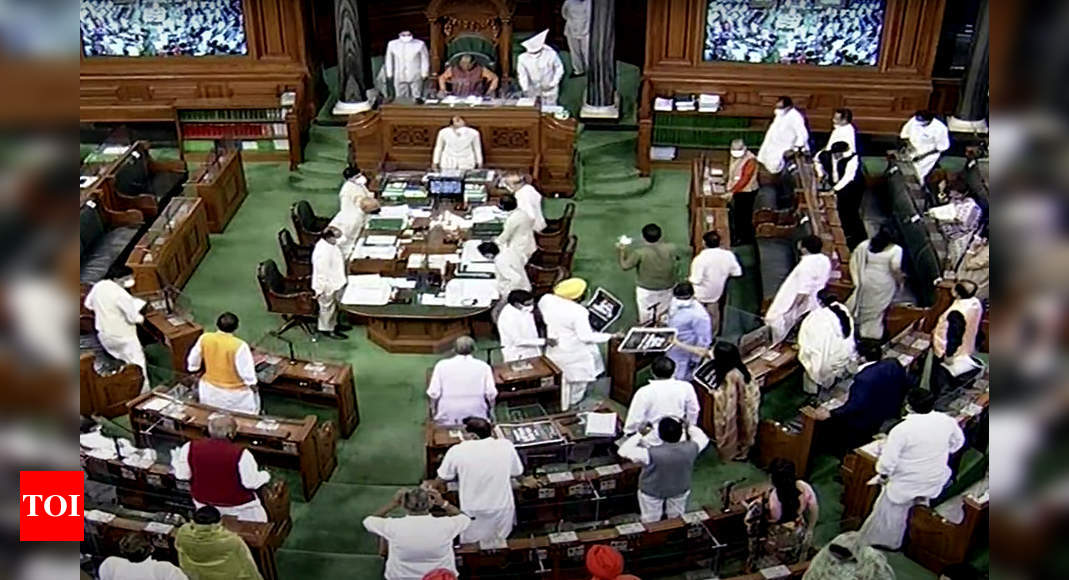 Lok Sabha Passes Essential Defence Services Bill Amid Opposition
