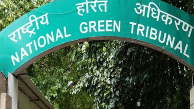 Madras high court stays NGT fiat to transfer cases to Delhi bench