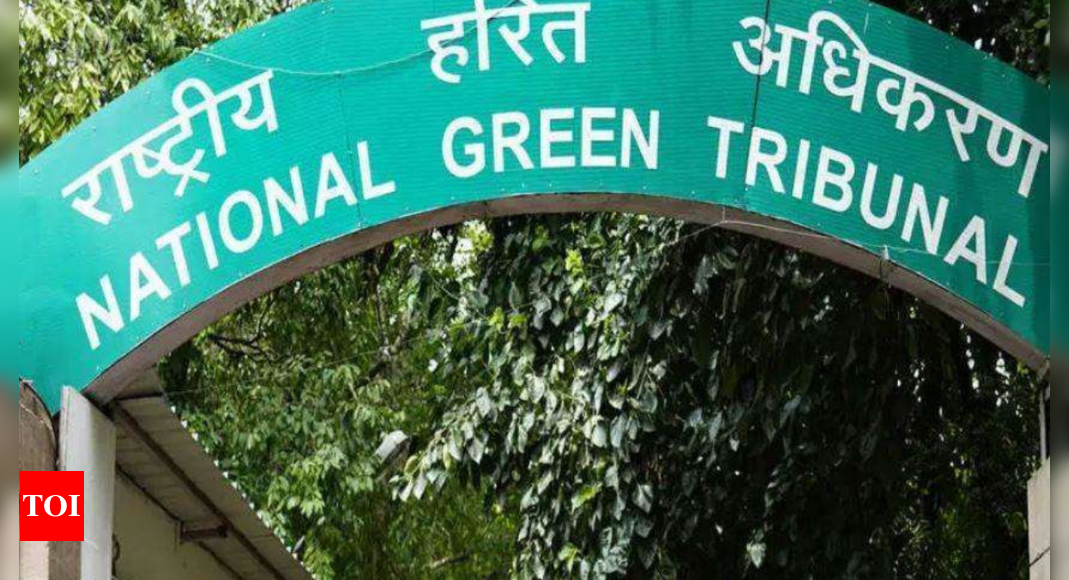 Madras HC stays NGT fiat to transfer cases to Delhi bench