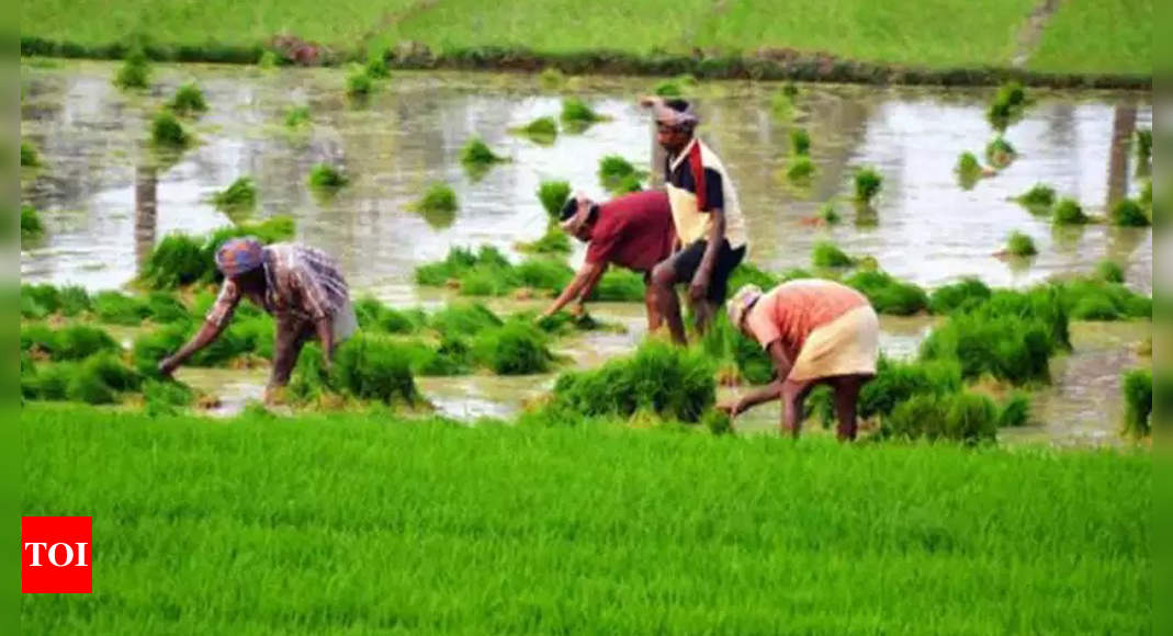 West Bengal: 9.5L farmers left out of PM-Kisan scheme