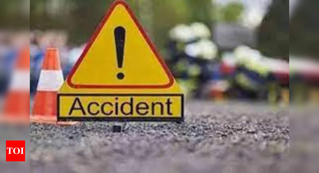 Indian driver dies in road accident in US – Times of India