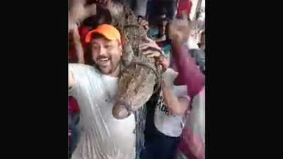 Madhya Pradesh: Its selfie time with crocodiles in flood-hit Shivpuri district