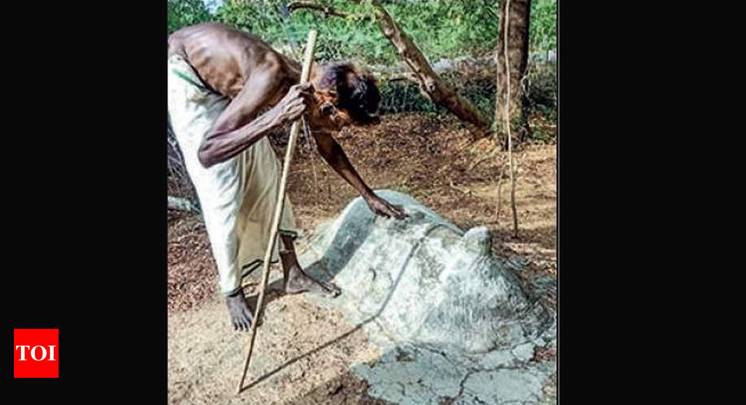 77-year-old preserves graves of 40 pet dogs