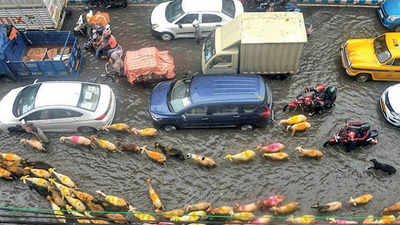 Kolkata: North sinks, south spared of large-scale flooding
