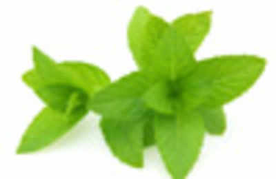 Benefits of peppermint oil - Times of India