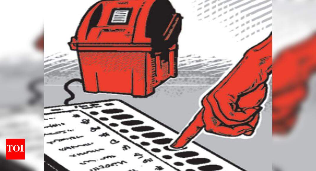 Tamil Nadu Special Summary Revision Of Electoral Rolls From November 1 