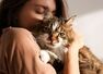 How to properly care for your feline friend
