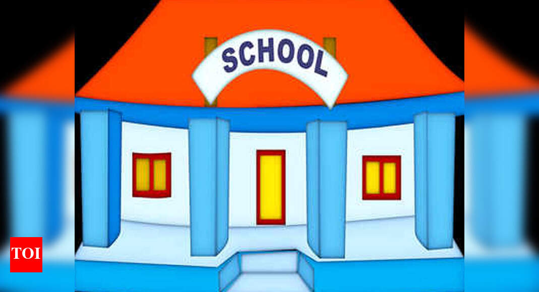Maha: Classes 5-8 may restart in Covid-free villages