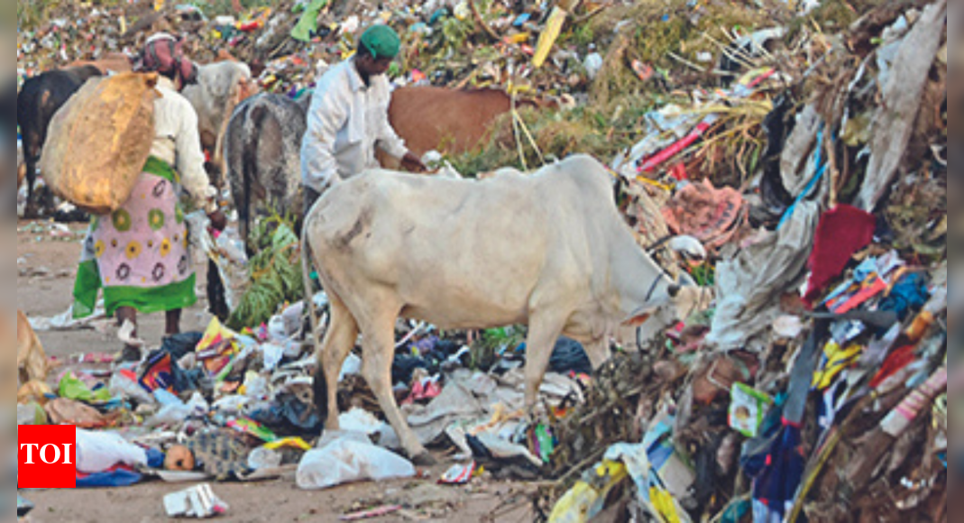Odisha: Micro composting units take pressure off Daruthenga dump yard ...