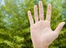 What your finger length reveals about you