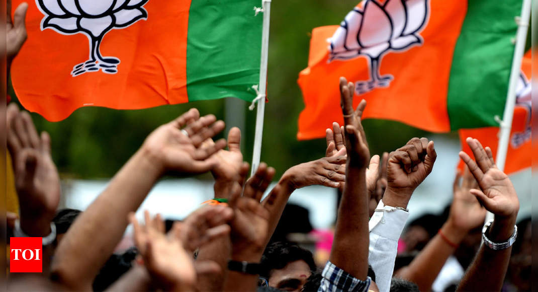 UP polls: BJP to hold programmes to mobilise masses