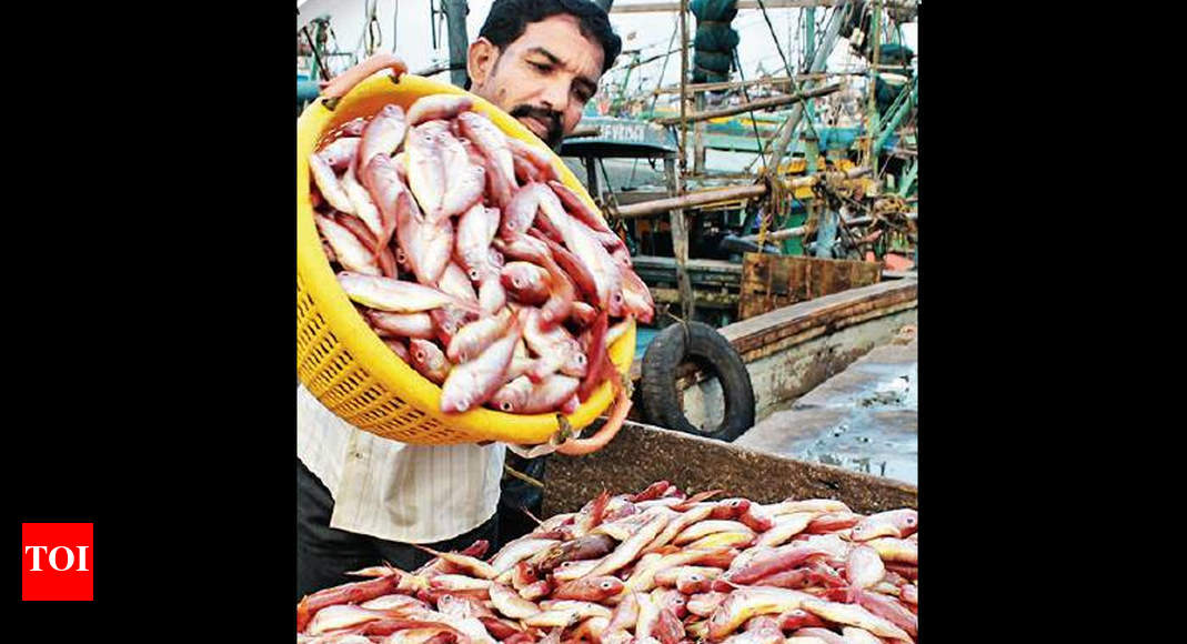 seafood-exporters-set-to-shake-off-china-s-chains-enter-new-markets