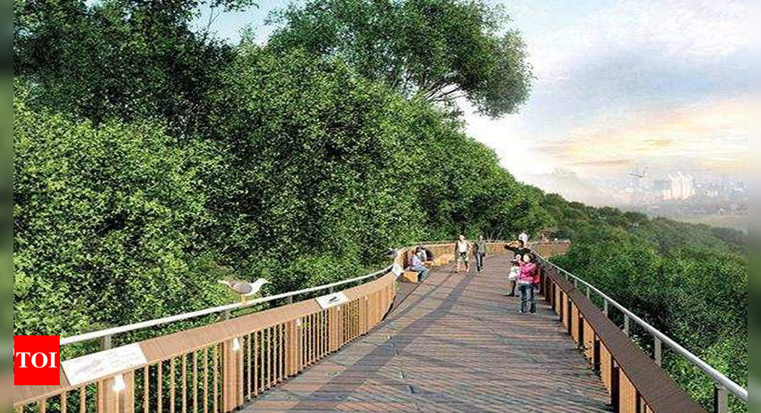 BMC plans Rs 12 crore treetop walkway at Malabar Hill | Mumbai News ...