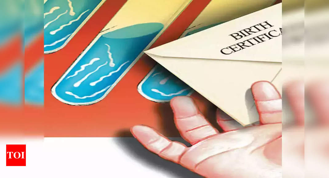 GHMC plans e-portal for birth & death certificates