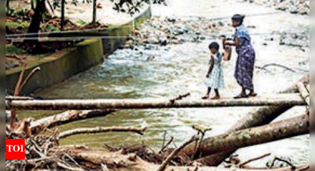 Saga Continues In Kerala Despite Forest Rights Law Kochi News Times Of India