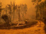 Harrowing pictures from Greece as wildfires engulf huge swathes of land