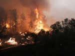 Harrowing pictures from Greece as wildfires engulf huge swathes of land