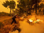 Harrowing pictures from Greece as wildfires engulf huge swathes of land