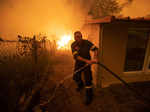 Harrowing pictures from Greece as wildfires engulf huge swathes of land