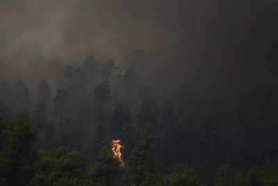Fire devours Greek island's forests; residents urged to flee