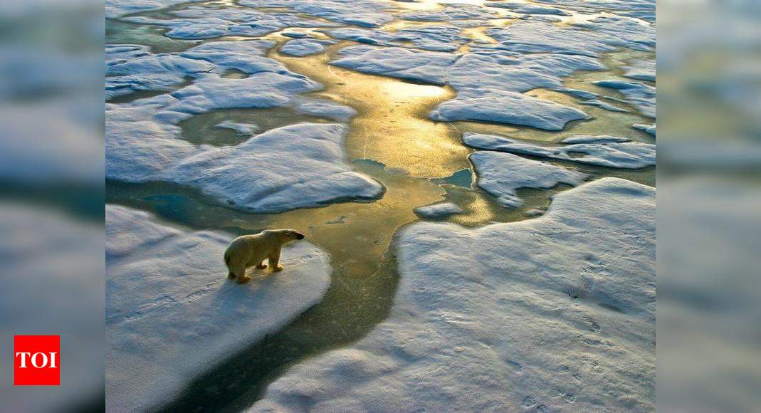 UN body warns of global average temp rise in 20 years